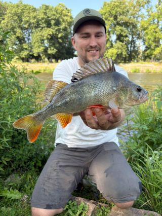 Konečně jeden pěknější okounek 🤗 #fishing #privlac #ryboveci