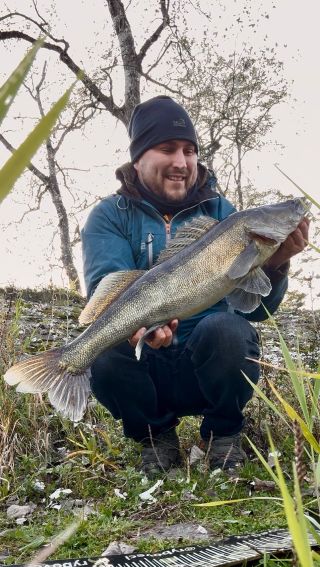 Poslední dobou vytrvale cílím na velkého okouna🐠, což se mi bohužel moc nedaří a za měsíc jsem nepřekonal 33cm 😢 místo...