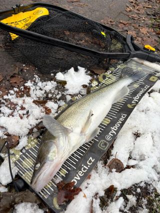 První adventní neděli 🎄 při mě Svátý Petr stál a já si konečně chytil i nějaké ty slimáčky 🐌🌟 Díky všem co za mnou stojí 🙏...