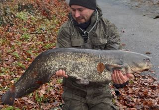 Můj zatím největší sumec na vláčku 🥳 Krásných 131cm nebyl ￼pro prut Sportex Black Arrow G4 vůbec žádný problém 💪 🟢...