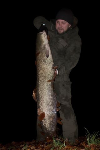 Ahoj kamarádi, je to neuvěřitelný, ale mám tu dalšího krasavce, který se stává mým největším sumcem v životě. Po...