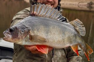 Tento víkend jsem se konečně mohl zase vrátit tam kde je mému rybářskému srdci nejlépe 😌 Mrazivé počasí 🥶 podtrhává...